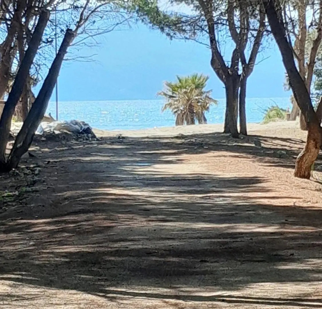Little Oasis Vloraアパートメント アパート Vlorë